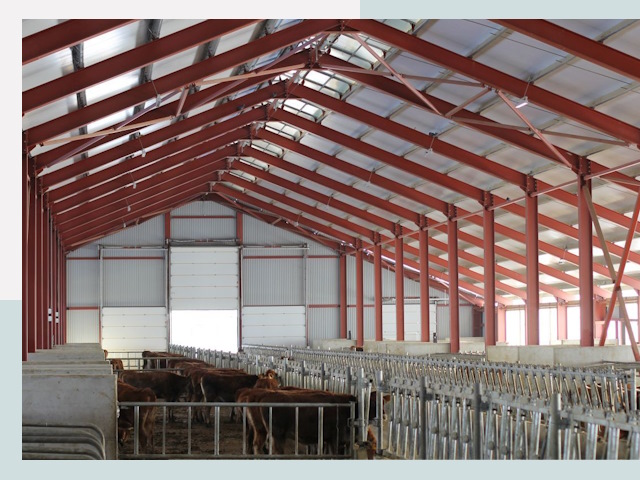 Строительство коровников в лесном