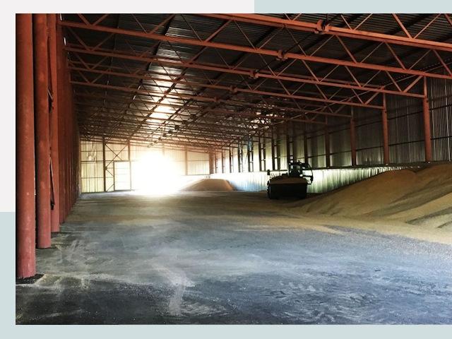 Строительство зернохранилищ в лесном