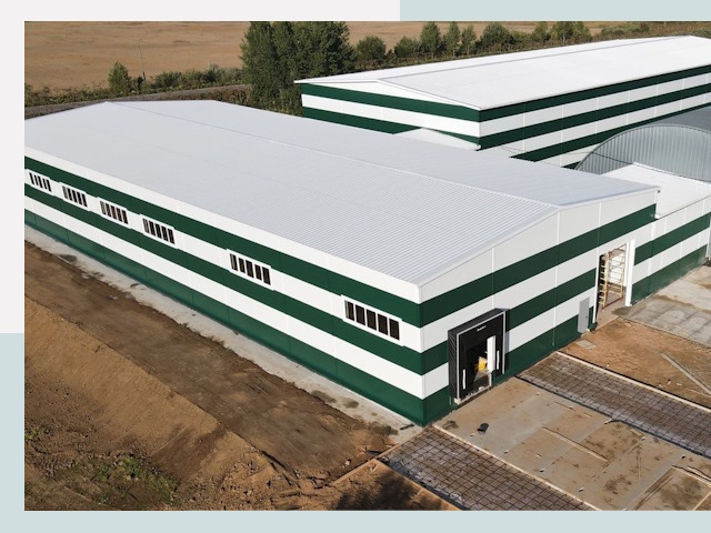 Строительство овощехранилищ в лесном