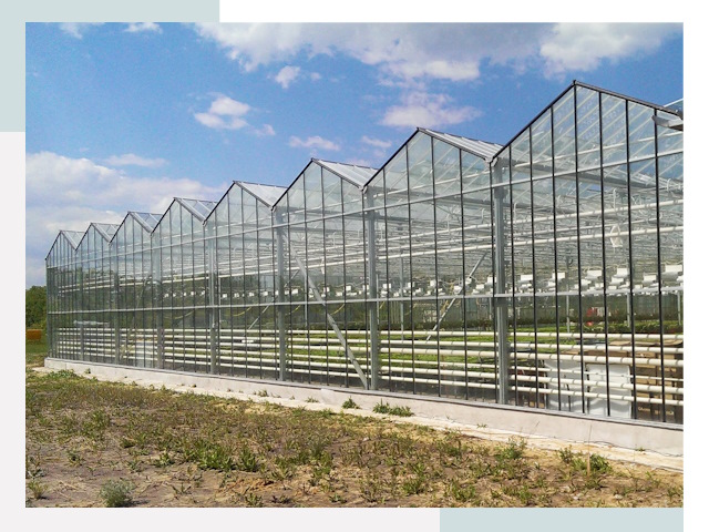Строительство теплиц в Лесной от 624 руб. за м²