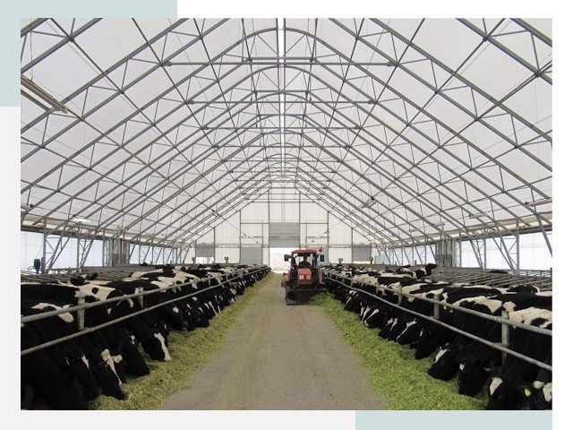 Тентовые коровники в лесном от 624 руб. - Надежно и доступно