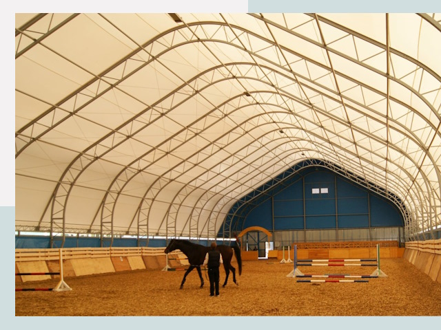 Строительство конных манежей в лесном